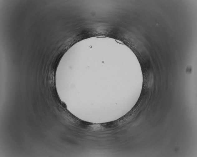 X0000096730425200803041227