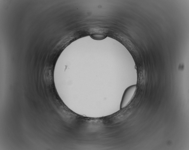 X0000096730426200803041227