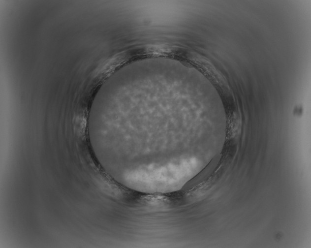 X0000096730427200803041227
