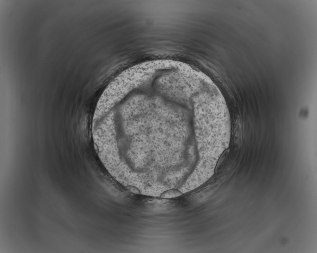 X0000096730428200803041227