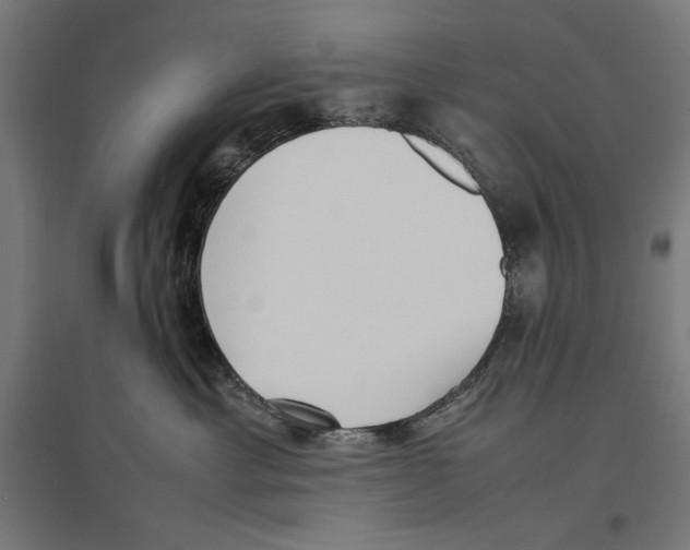 X0000096730429200803041227