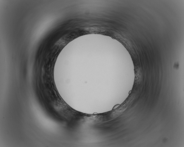 X0000096730430200803041227