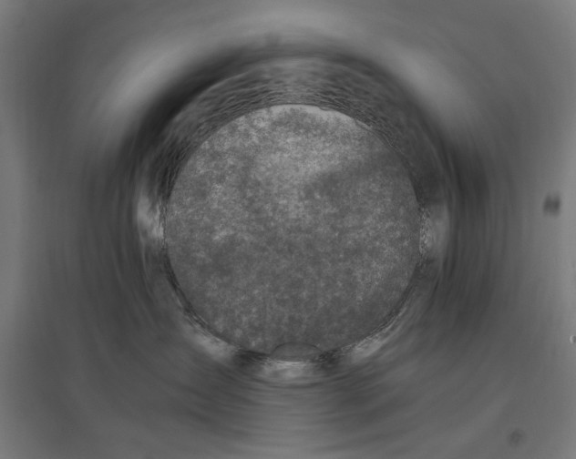 X0000096730431200803041227