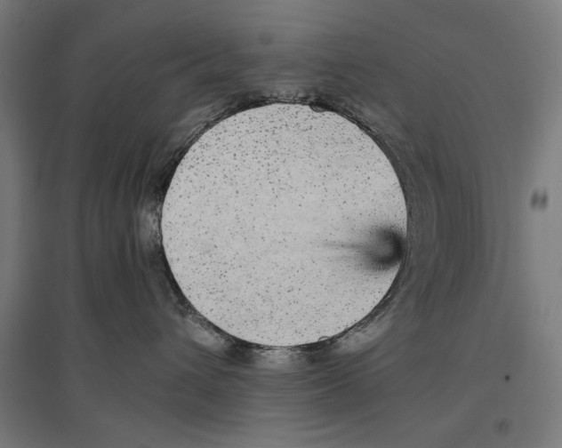 X0000096730432200803041227