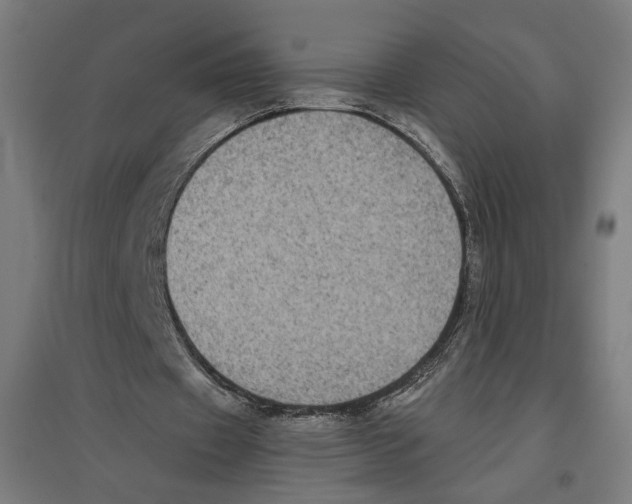 X0000096730433200803041226