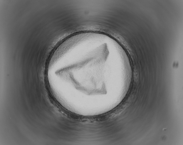 X0000096730434200803041226