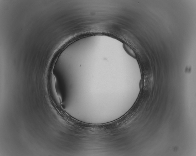 X0000096730436200803041226