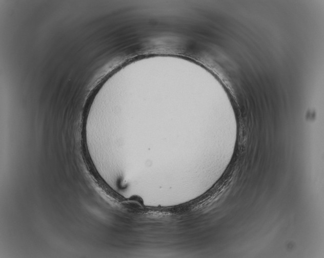 X0000096730437200803041226