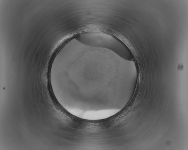 X0000096730438200803041226