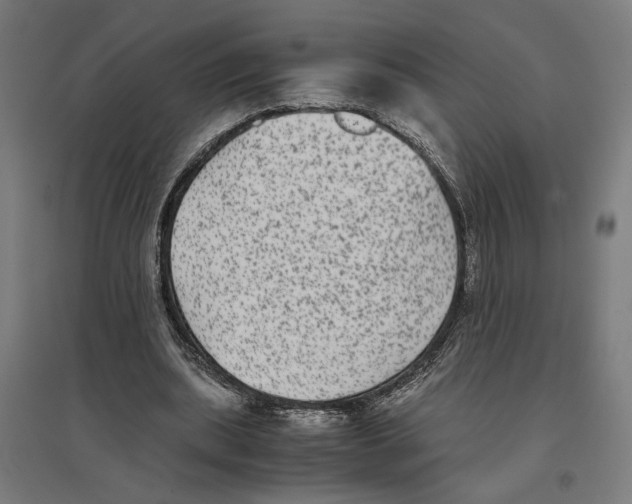 X0000096730439200803041226