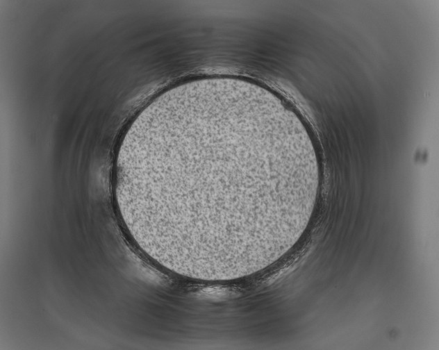 X0000096730441200803041226