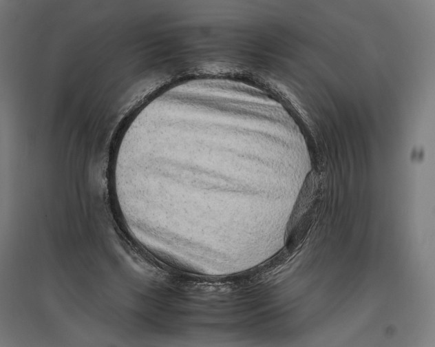 X0000096730443200803041226