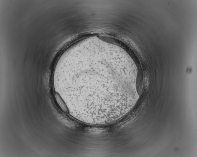 X0000096730444200803041226
