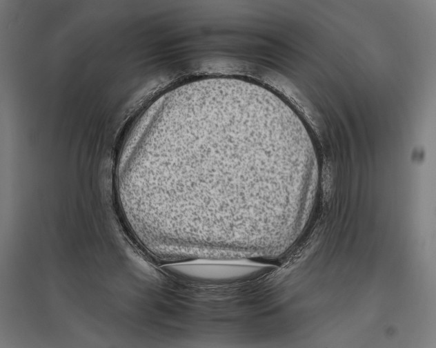 X0000096730445200803041226