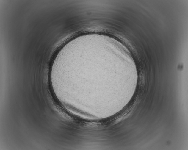 X0000096730446200803041226