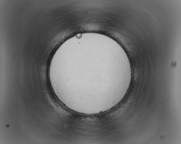 X0000096730447200803041226