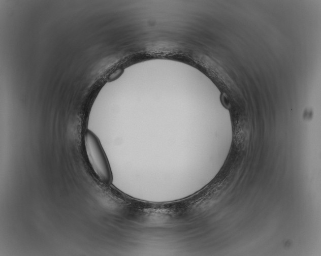 X0000096730448200803041226
