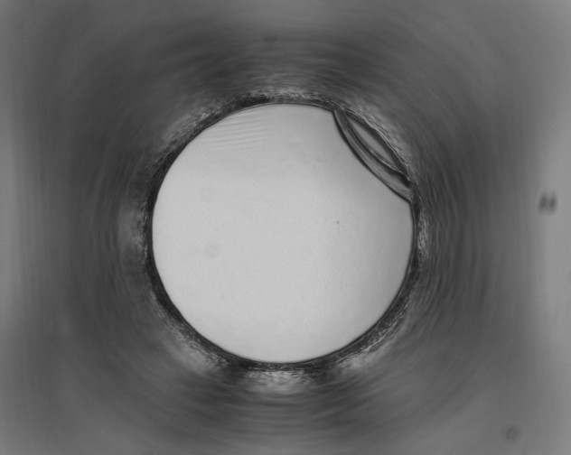 X0000096730449200803041226