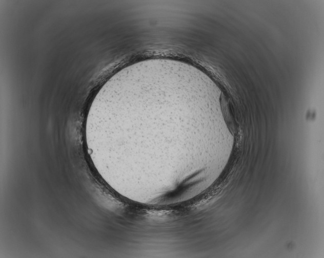 X0000096730450200803041226