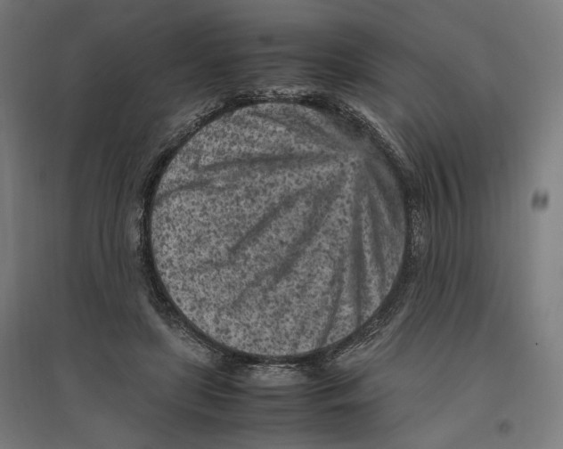 X0000096730451200803041226