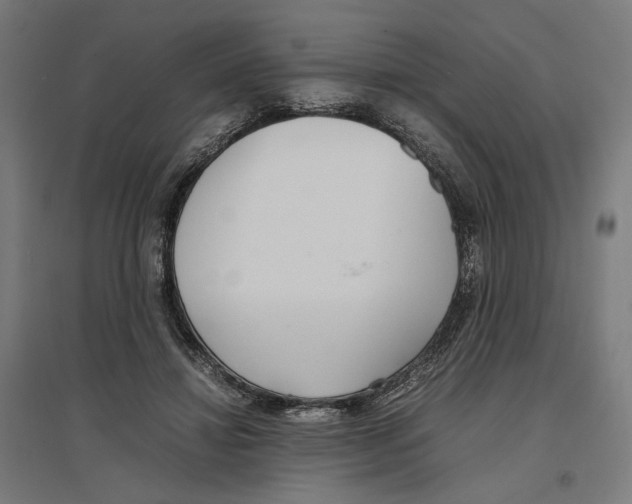 X0000096730452200803041226
