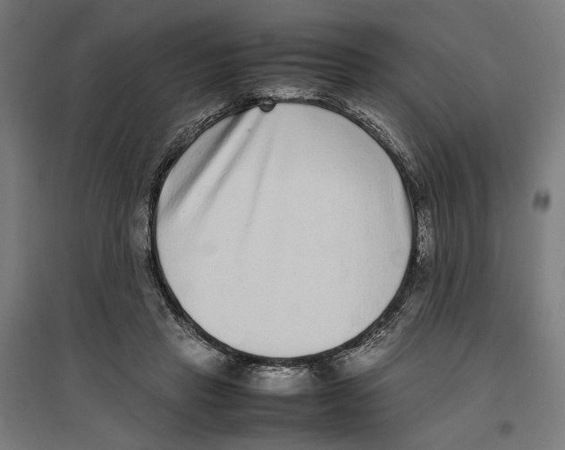 X0000096730453200803041226