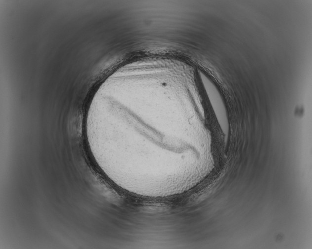 X0000096730454200803041226