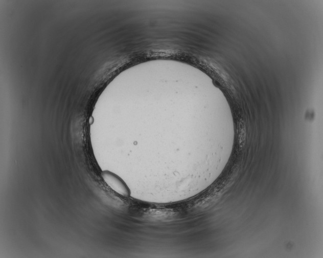 X0000096730455200803041226