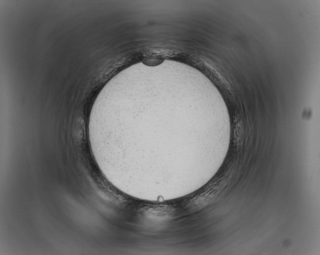 X0000096730459200803041226