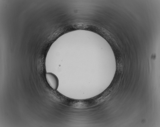 X0000096730460200803041226