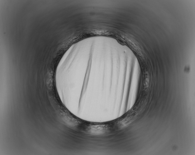 X0000096730461200803041226