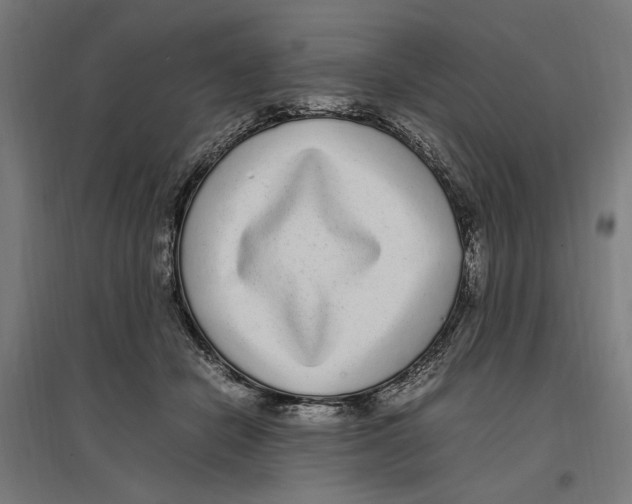 X0000096730462200803041226
