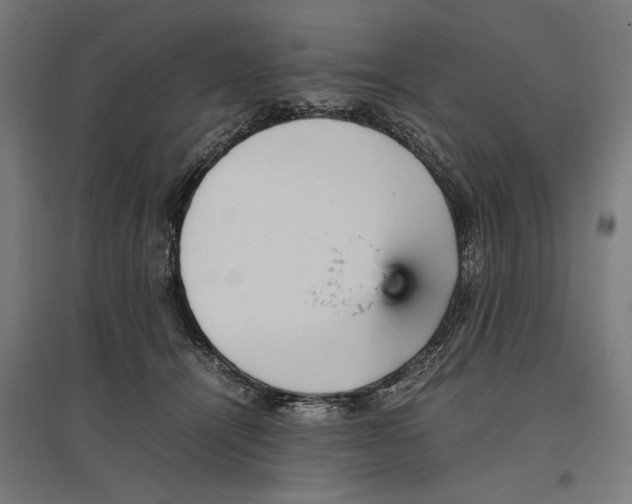 X0000096730464200803041226