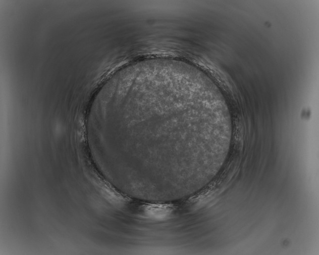 X0000096730465200803041226