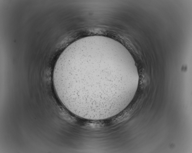 X0000096730466200803041226