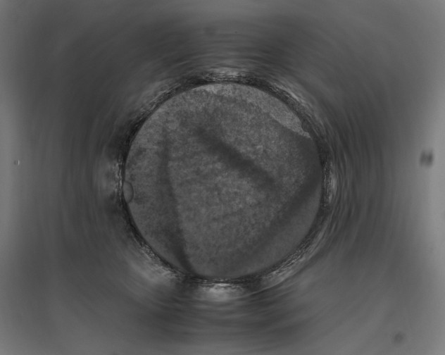 X0000096730467200803041226