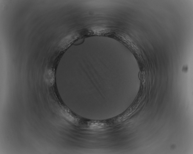 X0000096730471200803041226
