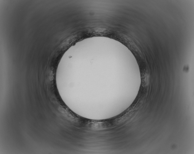 X0000096730472200803041226