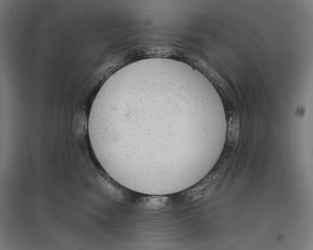 X0000096730474200803041226