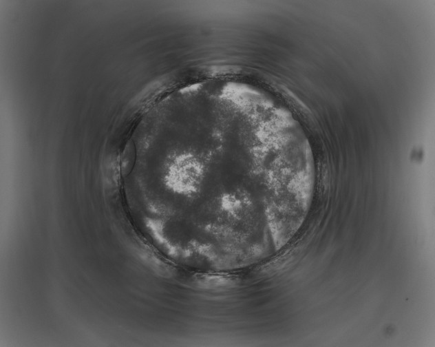 X0000096730475200803041226