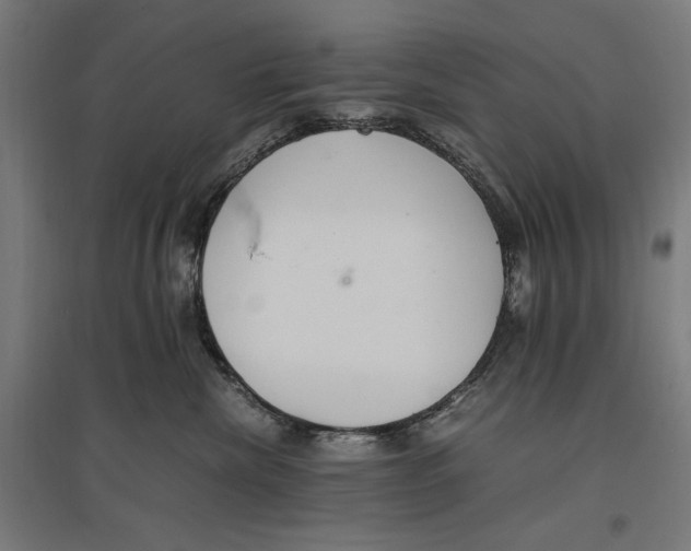 X0000096730476200803041226