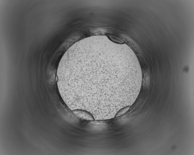 X0000096730477200803041227