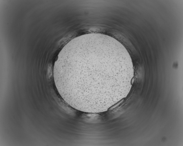 X0000096730478200803041227