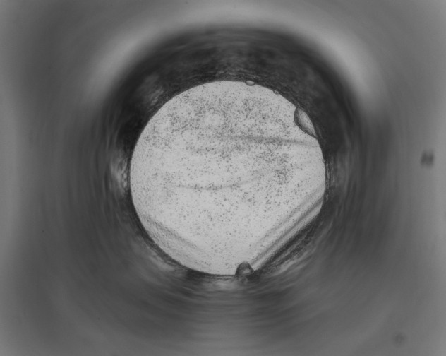X0000096730479200803041227