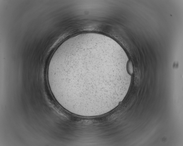 X0000096730482200803041226