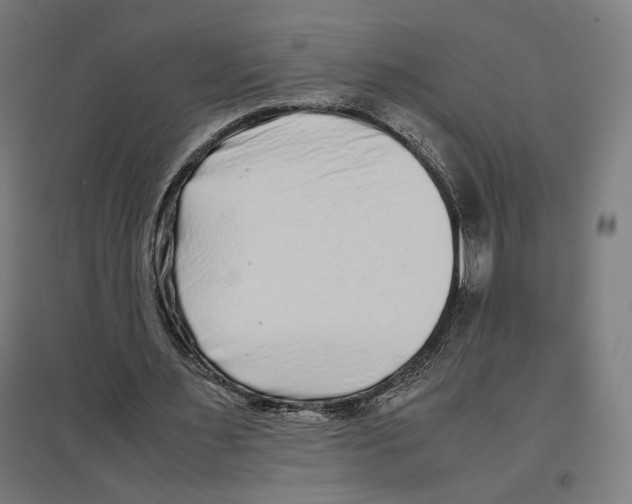 X0000096730483200803041226