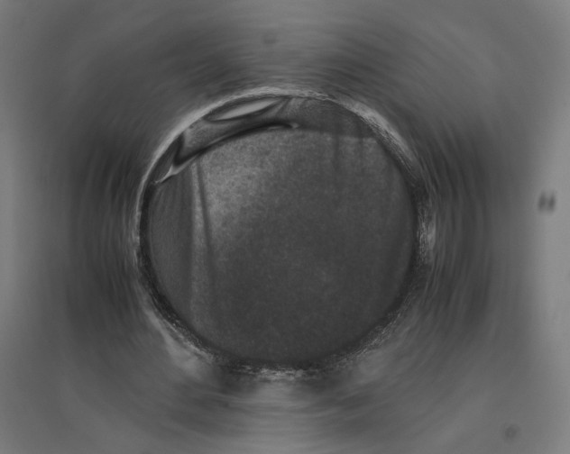 X0000096730484200803041226