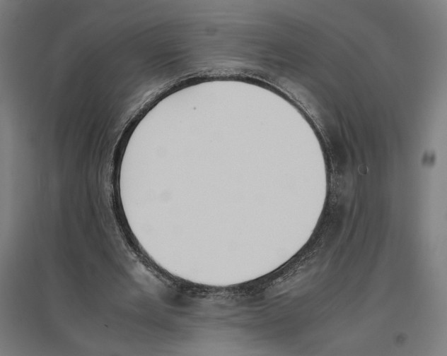 X0000096730485200803041226