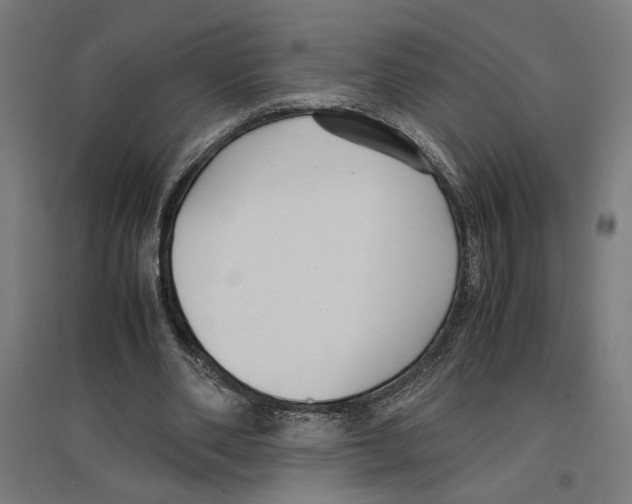 X0000096730486200803041226