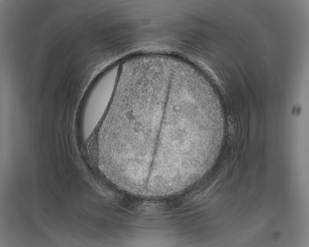 X0000096730487200803041226